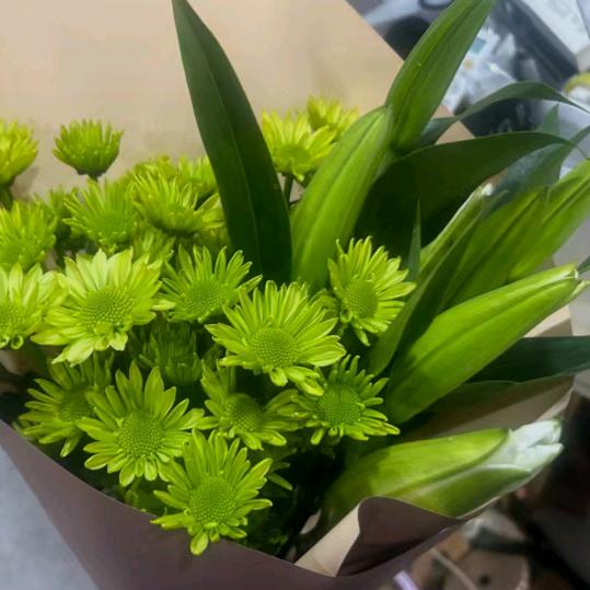 小熙熙