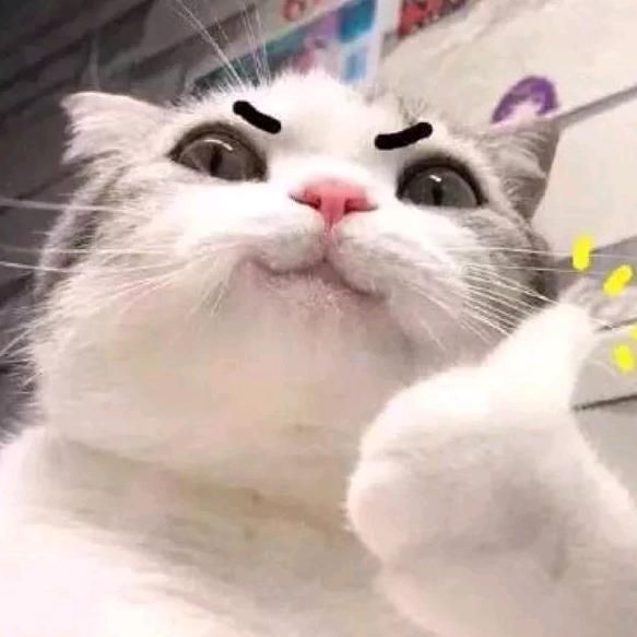 小黄风aa
