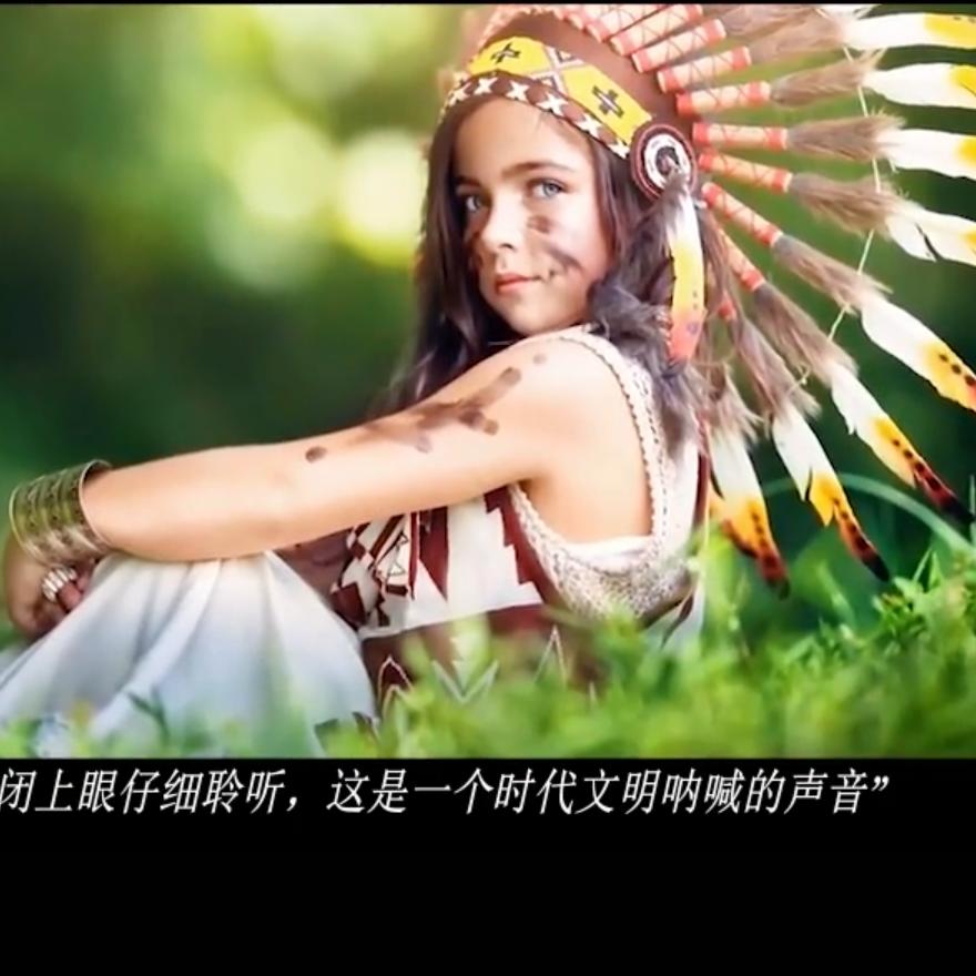 照