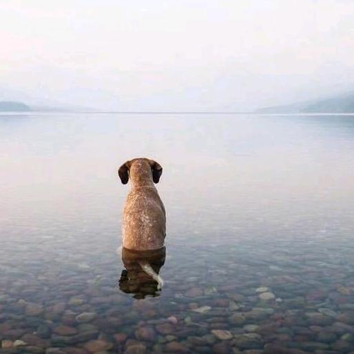 厦门市鸿锐辰房屋拆除工程有限公司