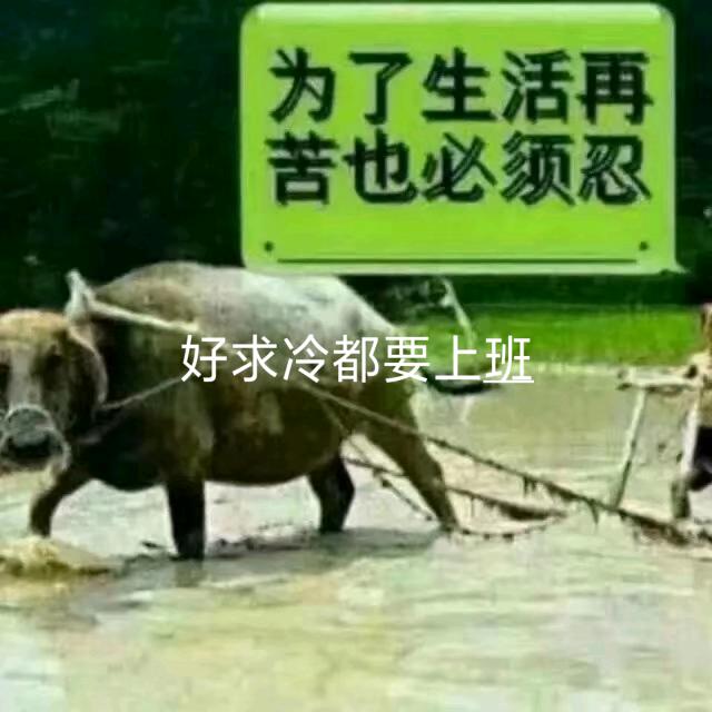 美好回忆