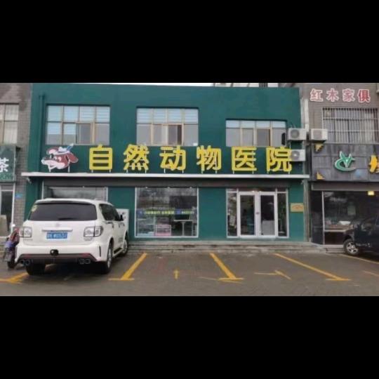 真实的我