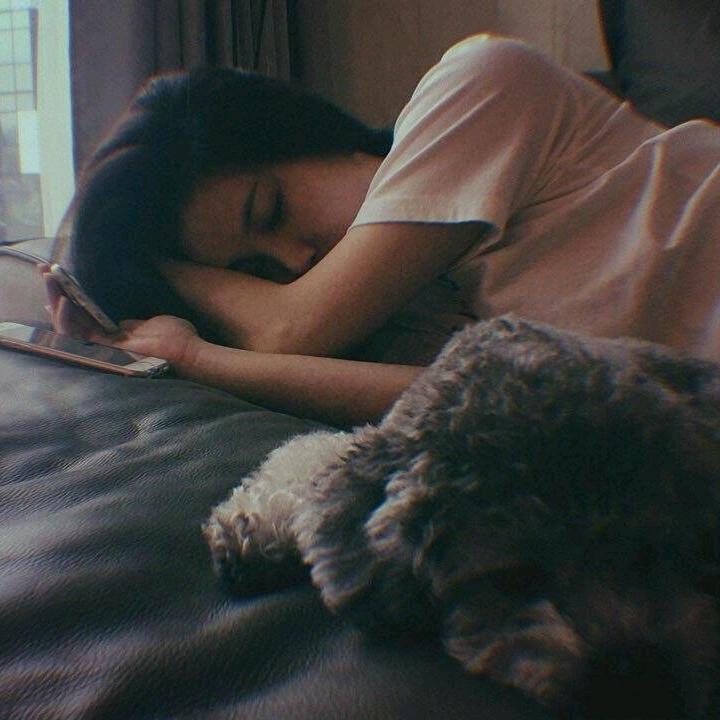 🐮 烧烤小年高