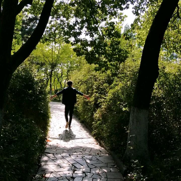 亚欧天花装饰