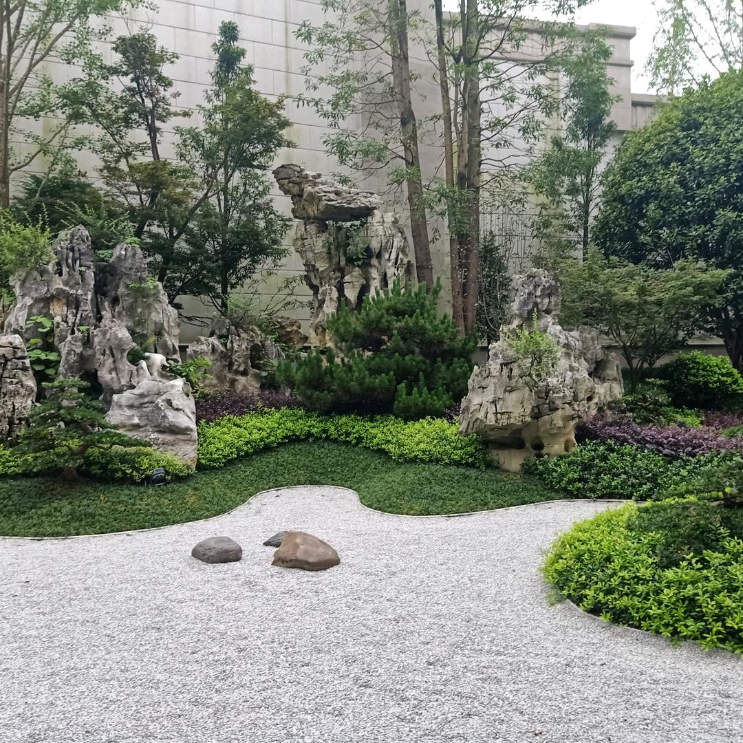 @闲云野鹤&