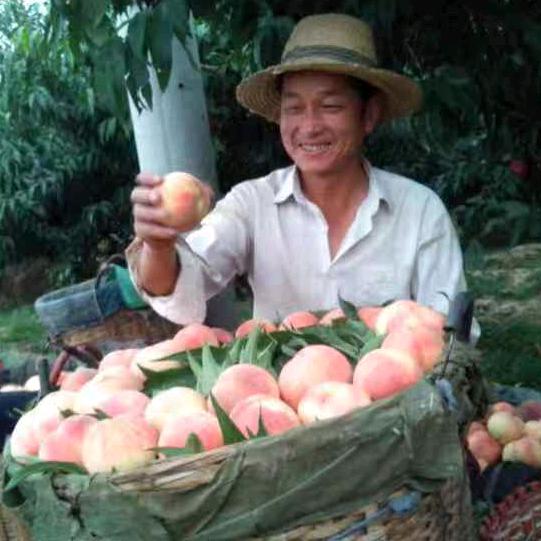 文天【什川古梨园】