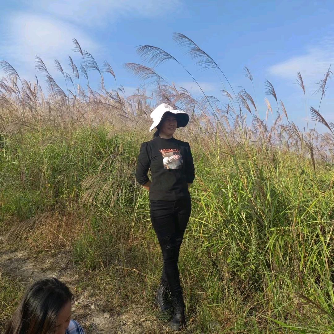 天罗地网