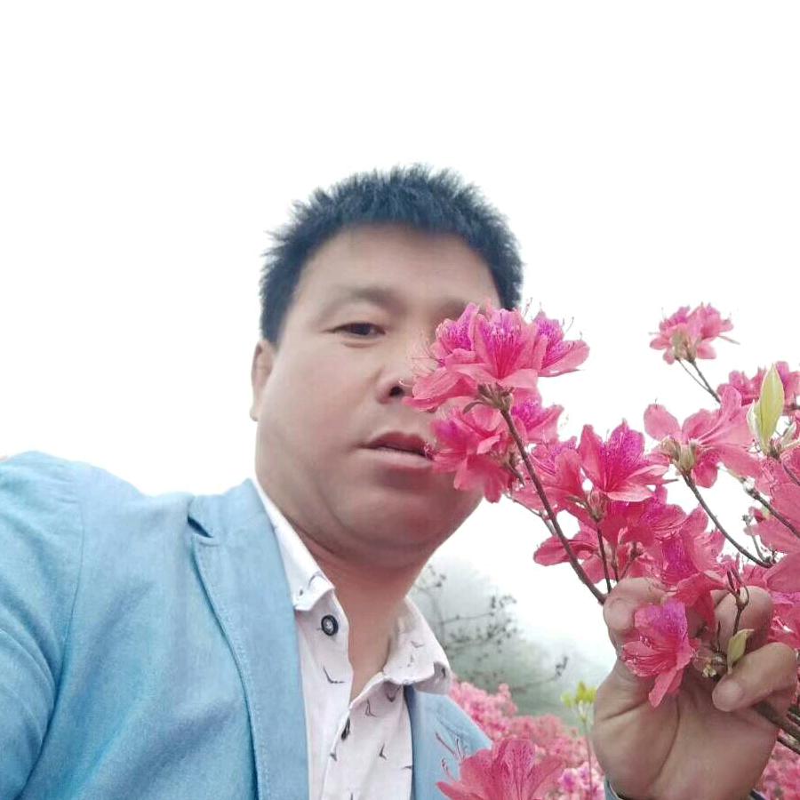 《养生达人》……