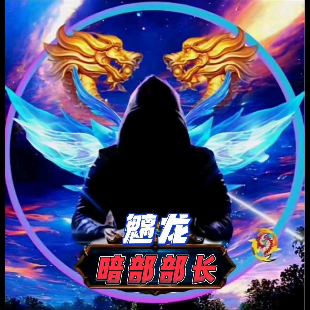 魑龙 𓃰执法队
