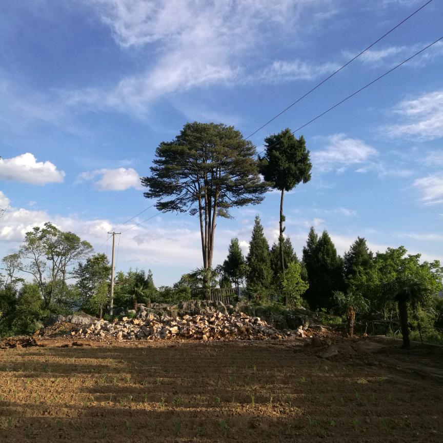 园沟坪