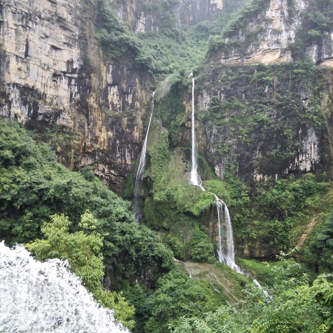 细水柳年