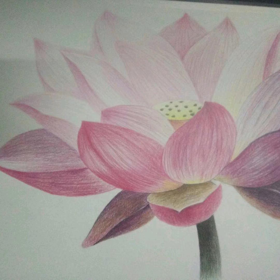 芦园干货特产