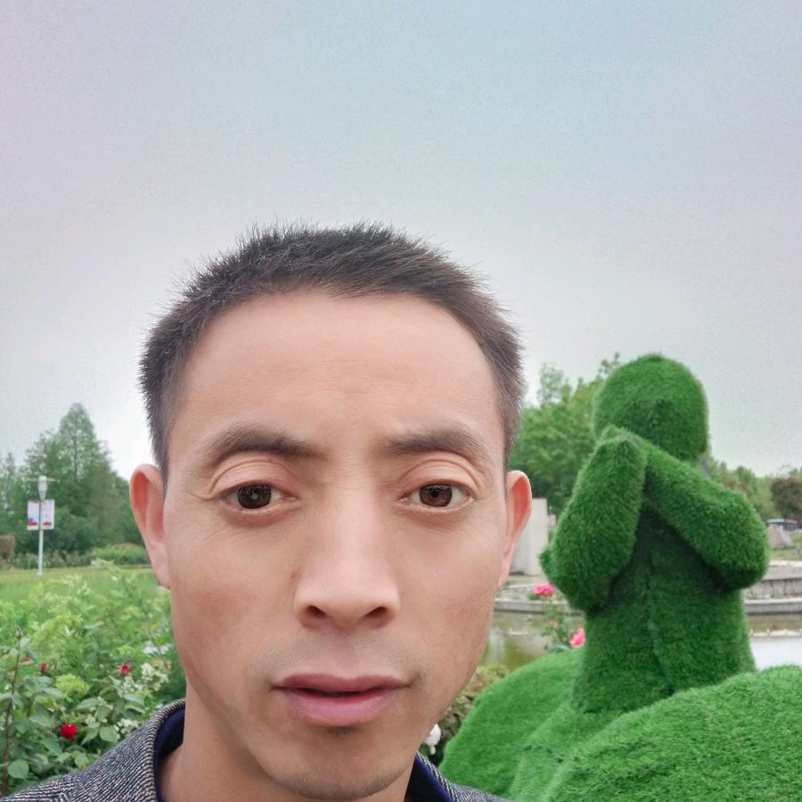 叶落归根