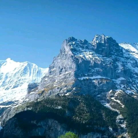 办理全国商标，专利，产品批文