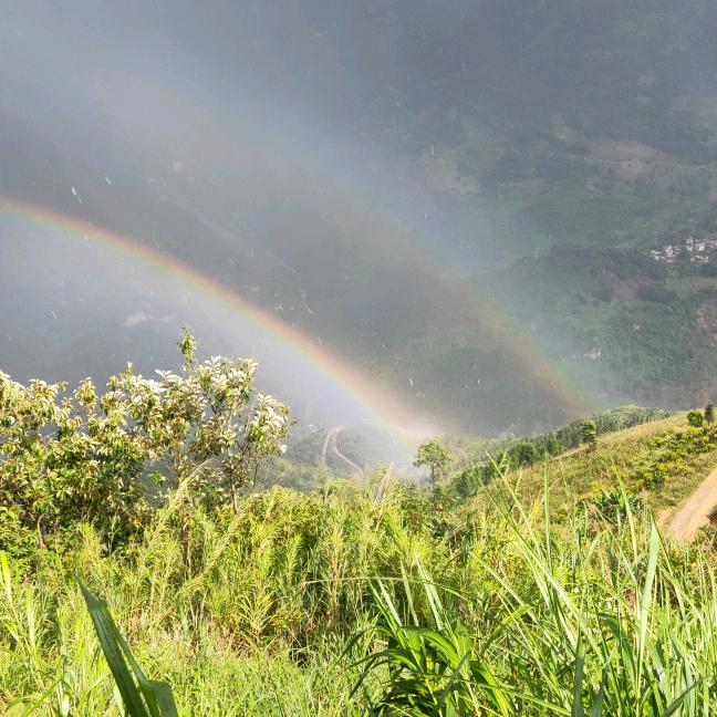 ༄༊࿆归零ོྂཾ࿆࿐