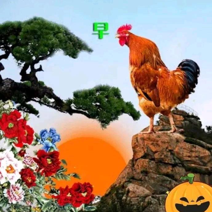 汶冰