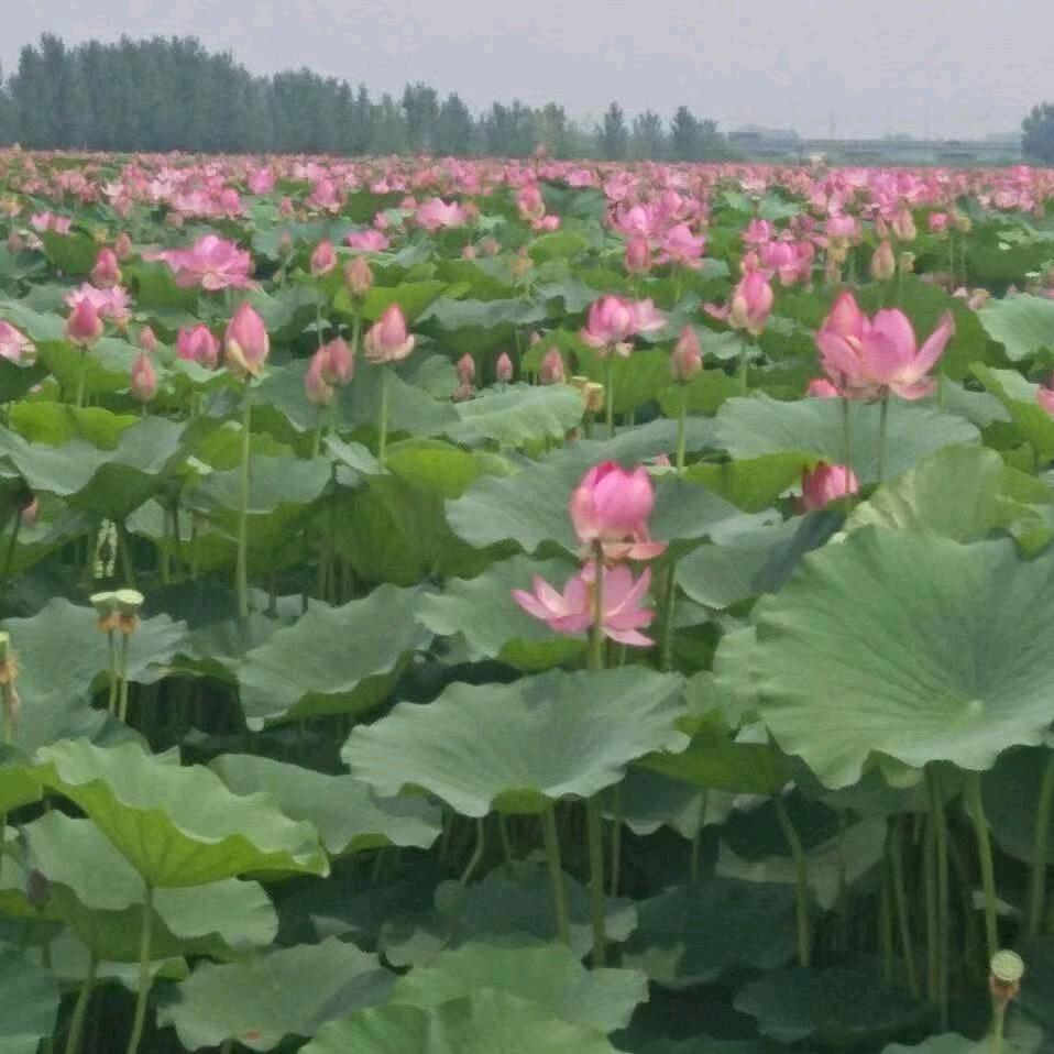 用户朱广合