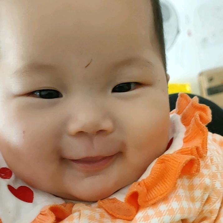小猪