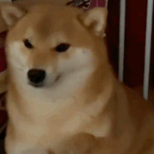 煮个面条都得β