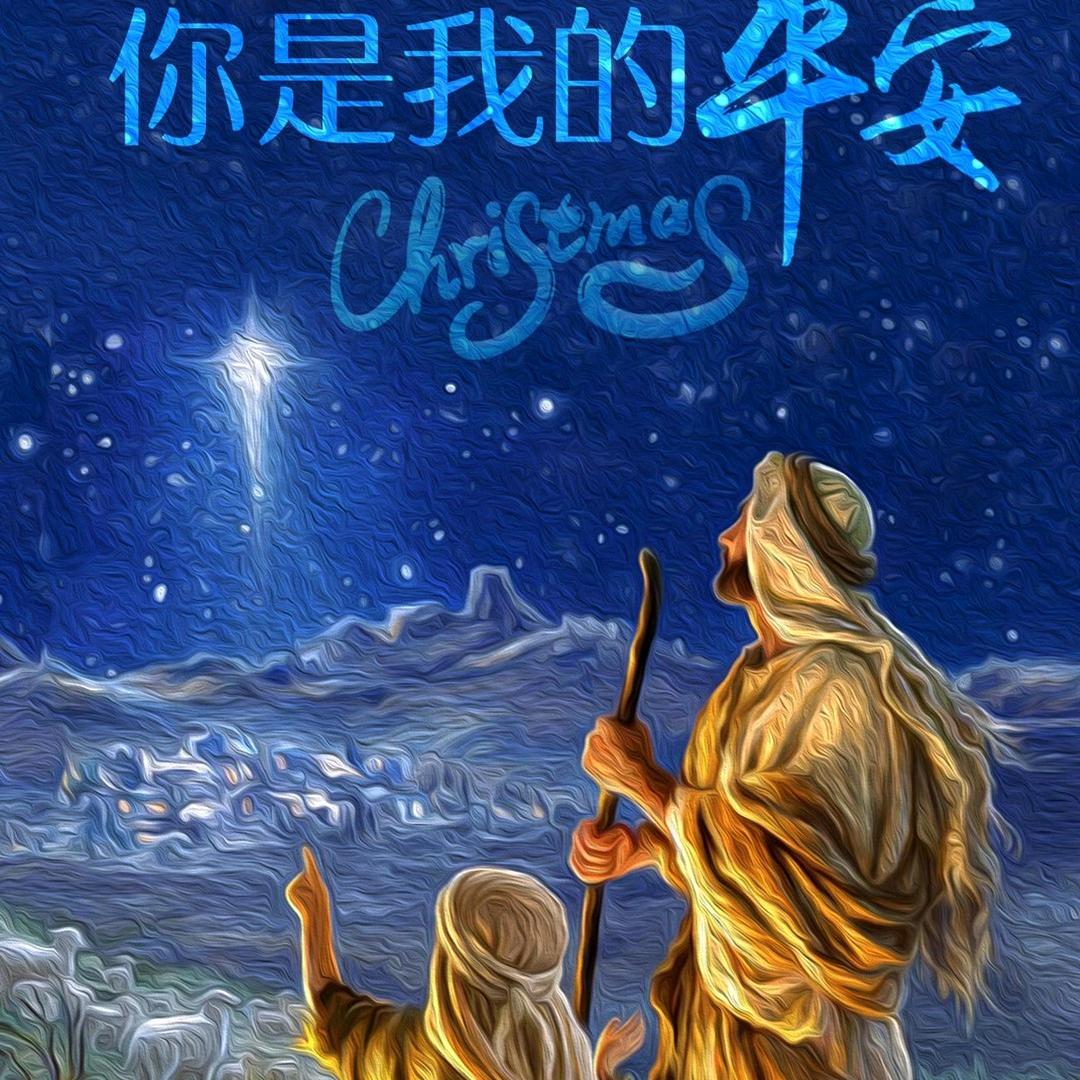 爱晨星
