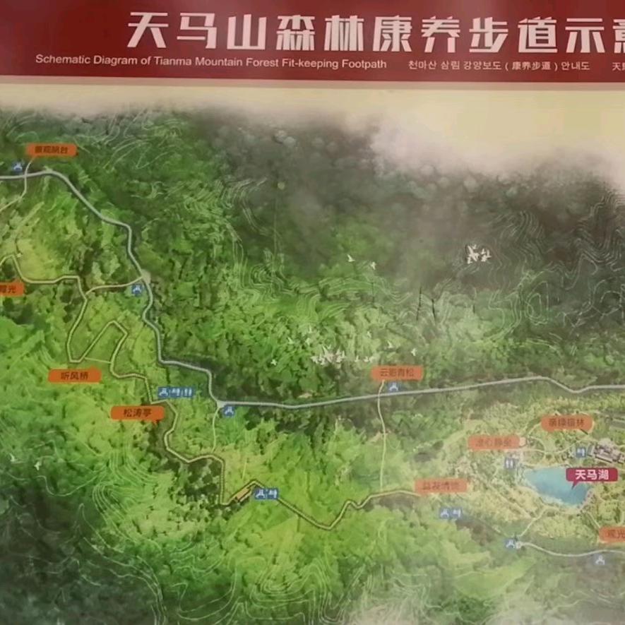 天马山的农民