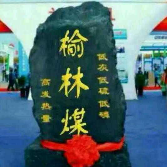 榆林天极英策煤炭运销有限公司