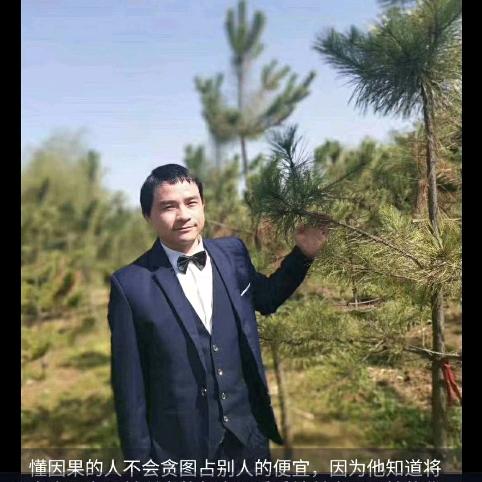 白马王子