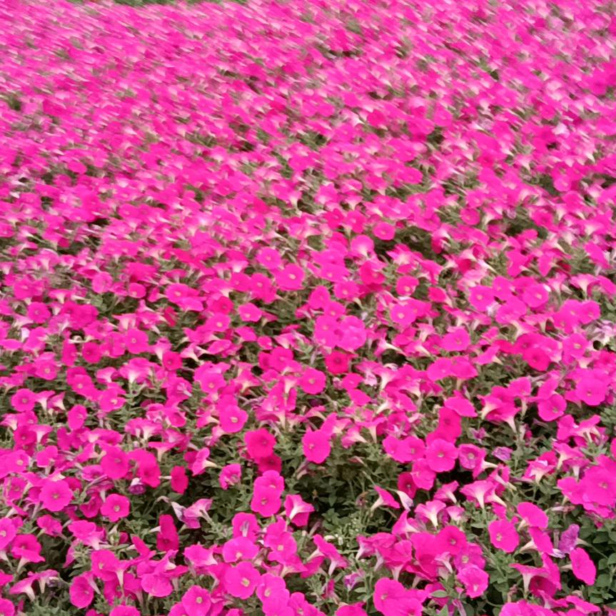 用户4902224501457开心一笑