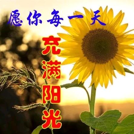 墨园