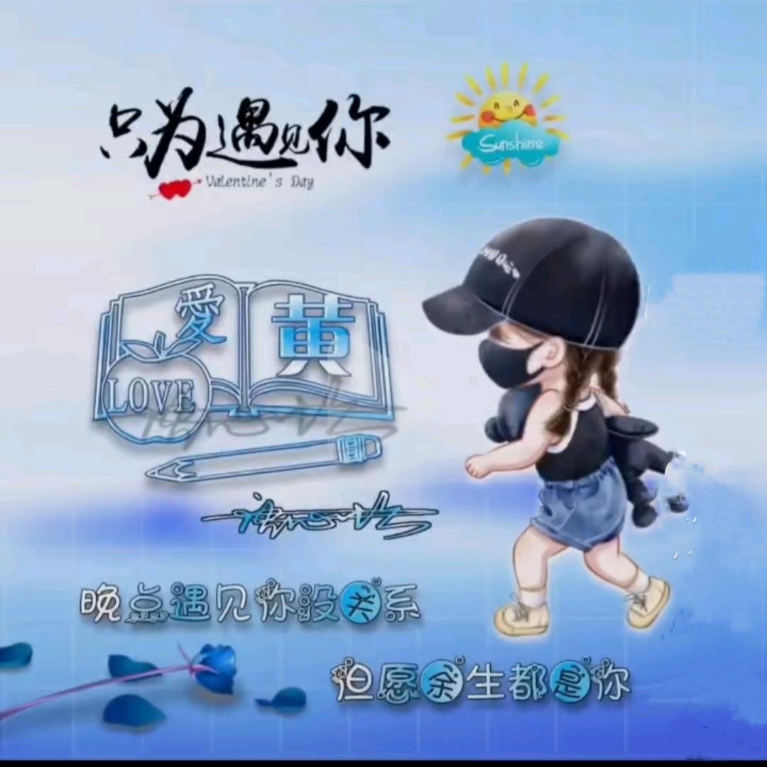 慧泊防水 小黄