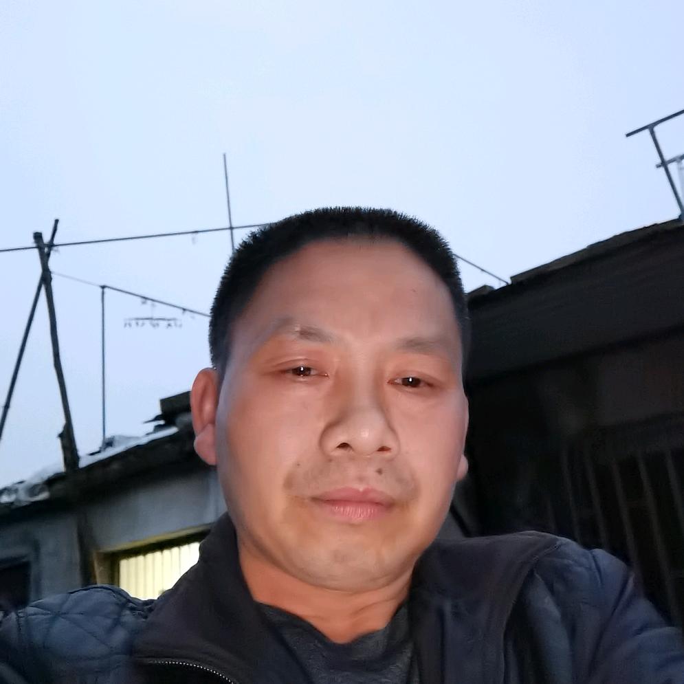 随心所欲，雾里看月