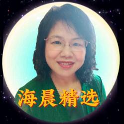 海晨精选