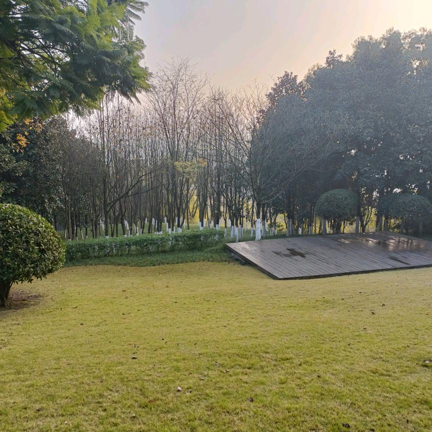 厨房新能源燃料，安全，节约成本。关注我