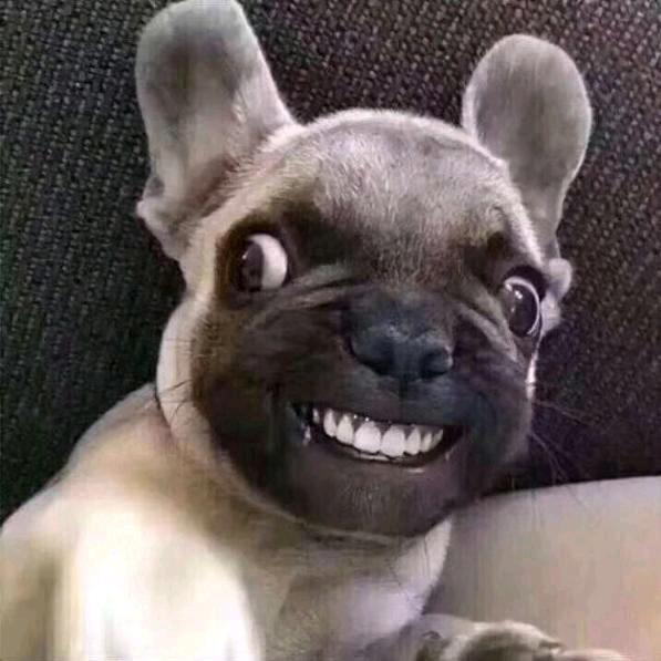 刘阿坤👌  　　　　　　　　广告  ×