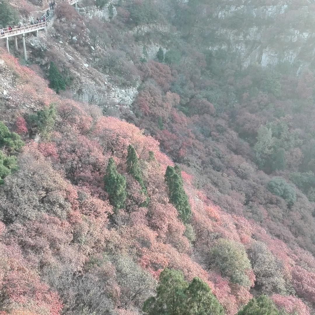雪峰