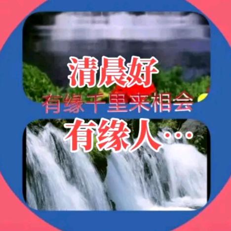 诚信代人