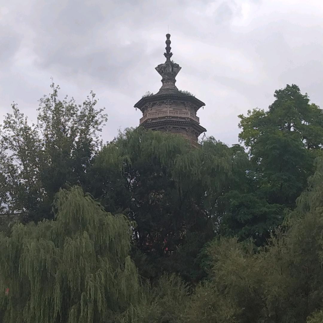 大树（義薄云天）