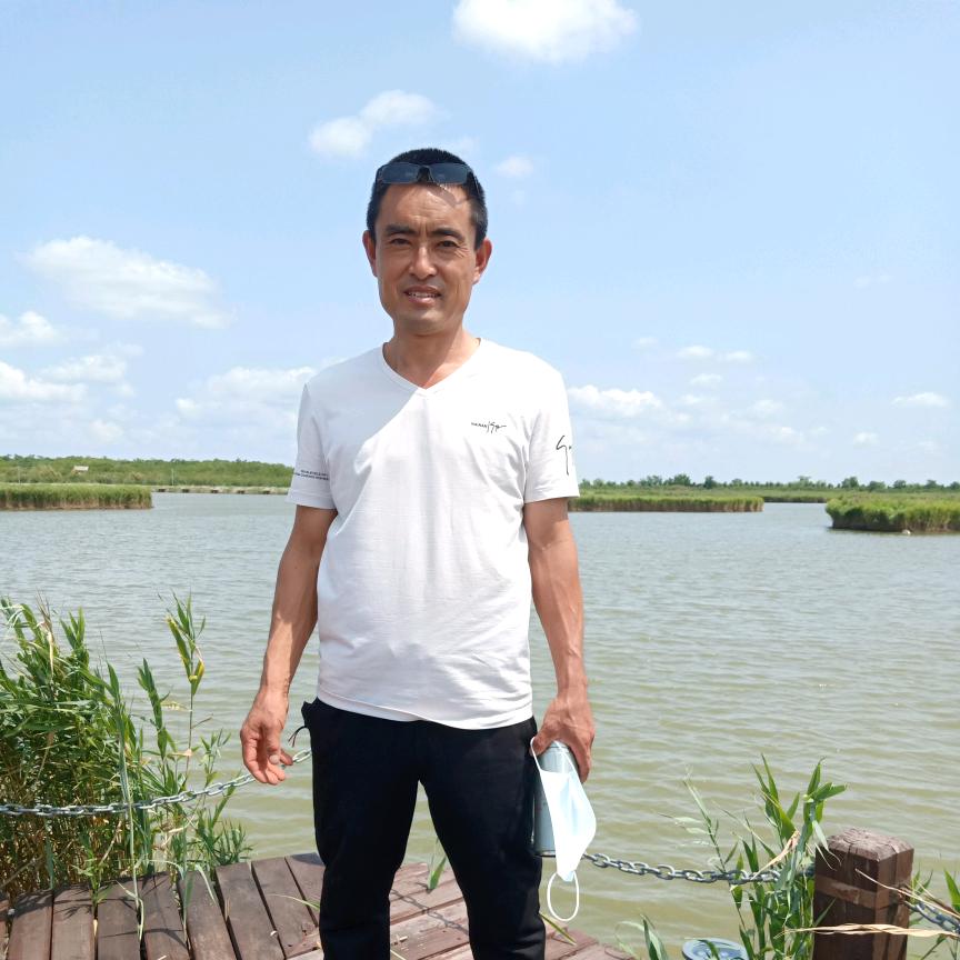 寿光种菜人连续座果不歇茬