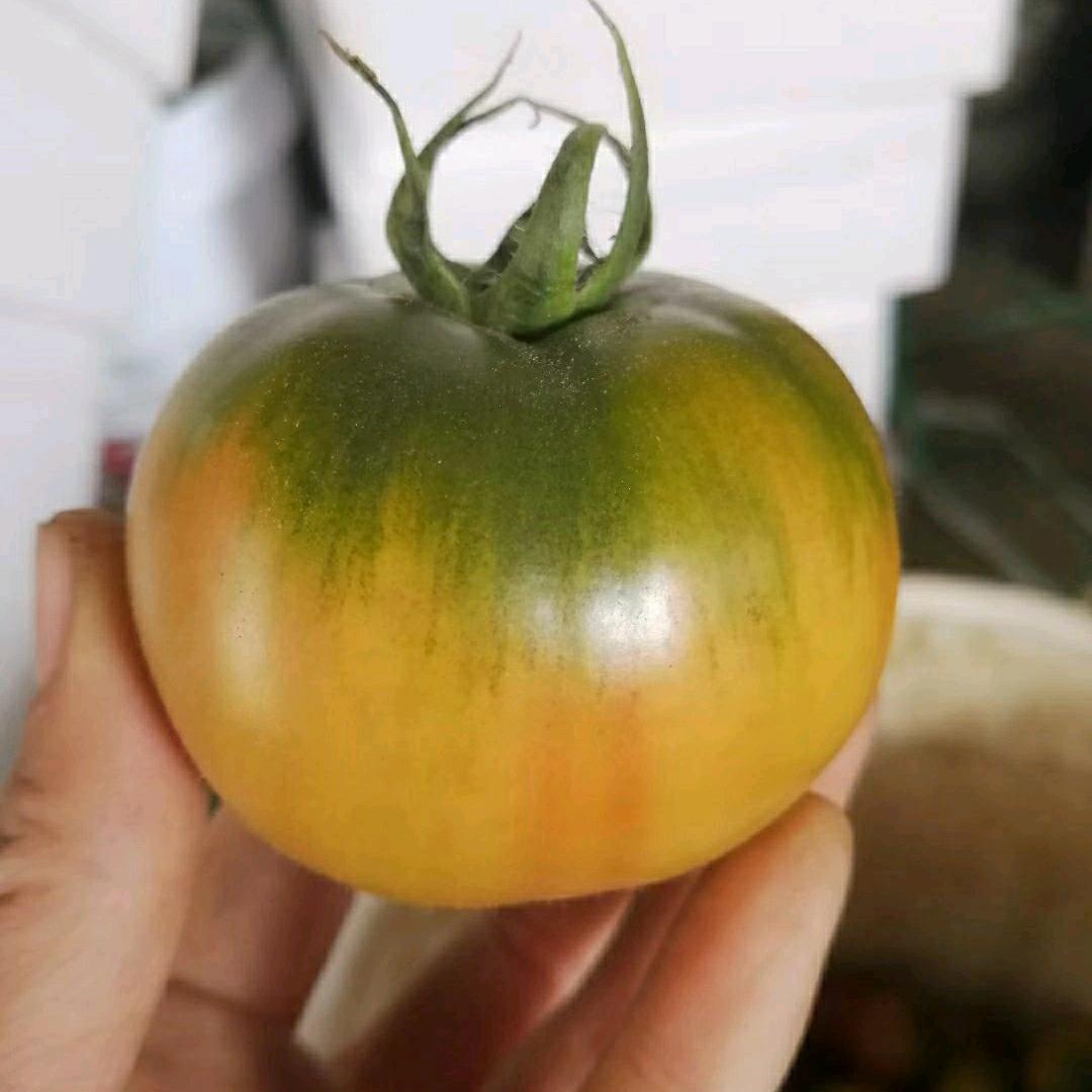 稳稳家草莓柿子