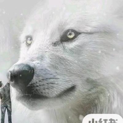 过客