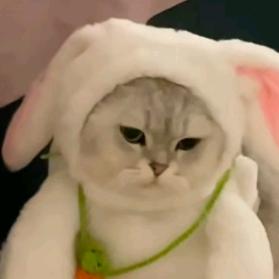 努力奋斗的医学生