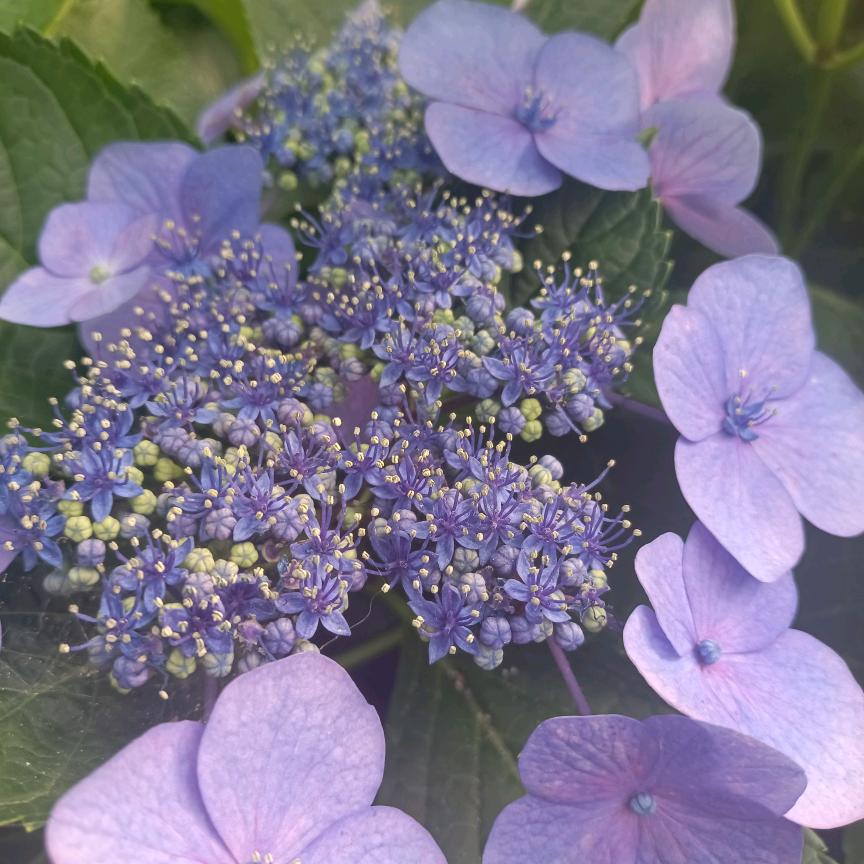 快乐一家人《火火家》