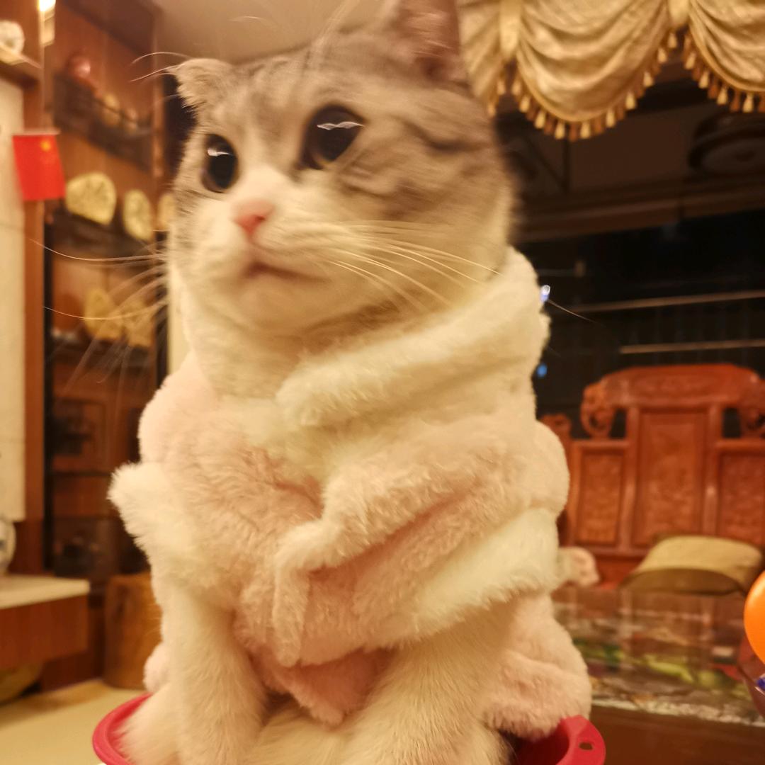 黎燕芬