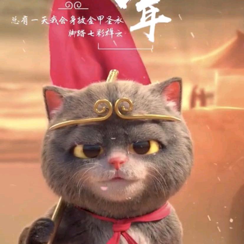 ♋️阝东尹口🌴那哪着🐒