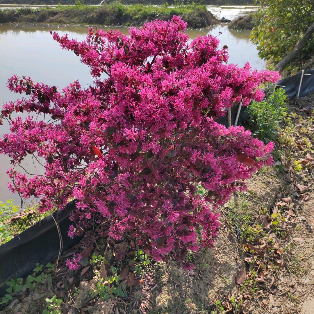 心情愉悦