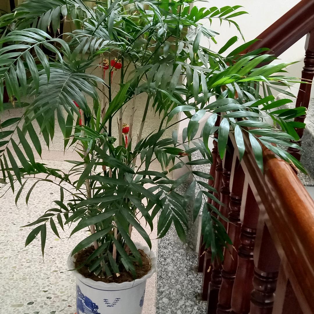 开心过好每一天🌹