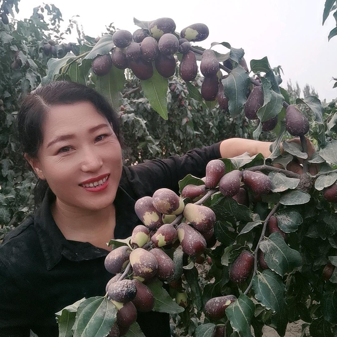 昆玉市晓勤干果店