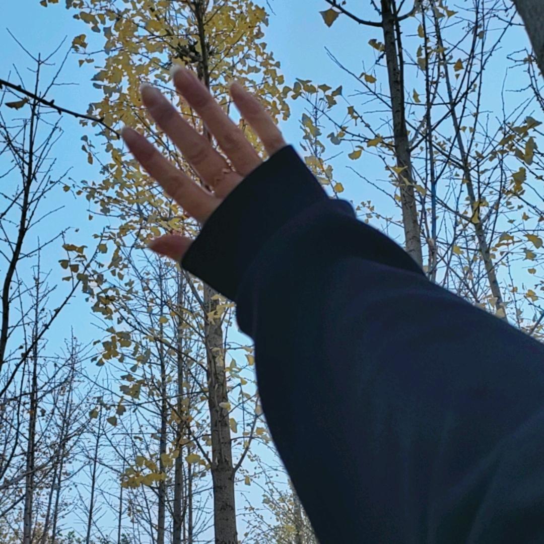 对酒当歌  人生几何