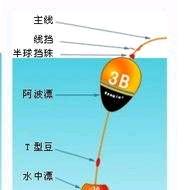 花样运动少年