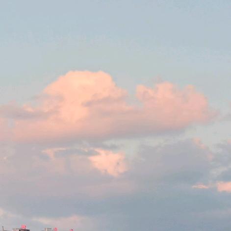 天天快乐Lily🐷is🌱fan🍭